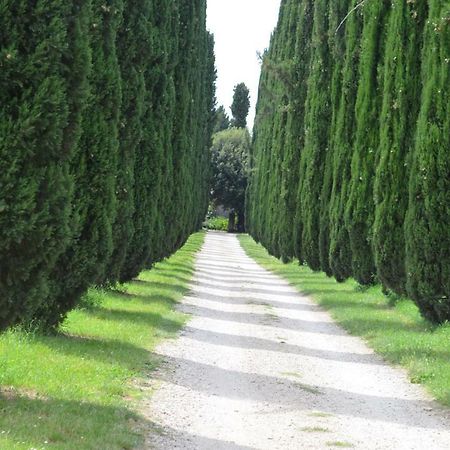Casale Colleoni Bed & Breakfast Tivoli Exterior photo