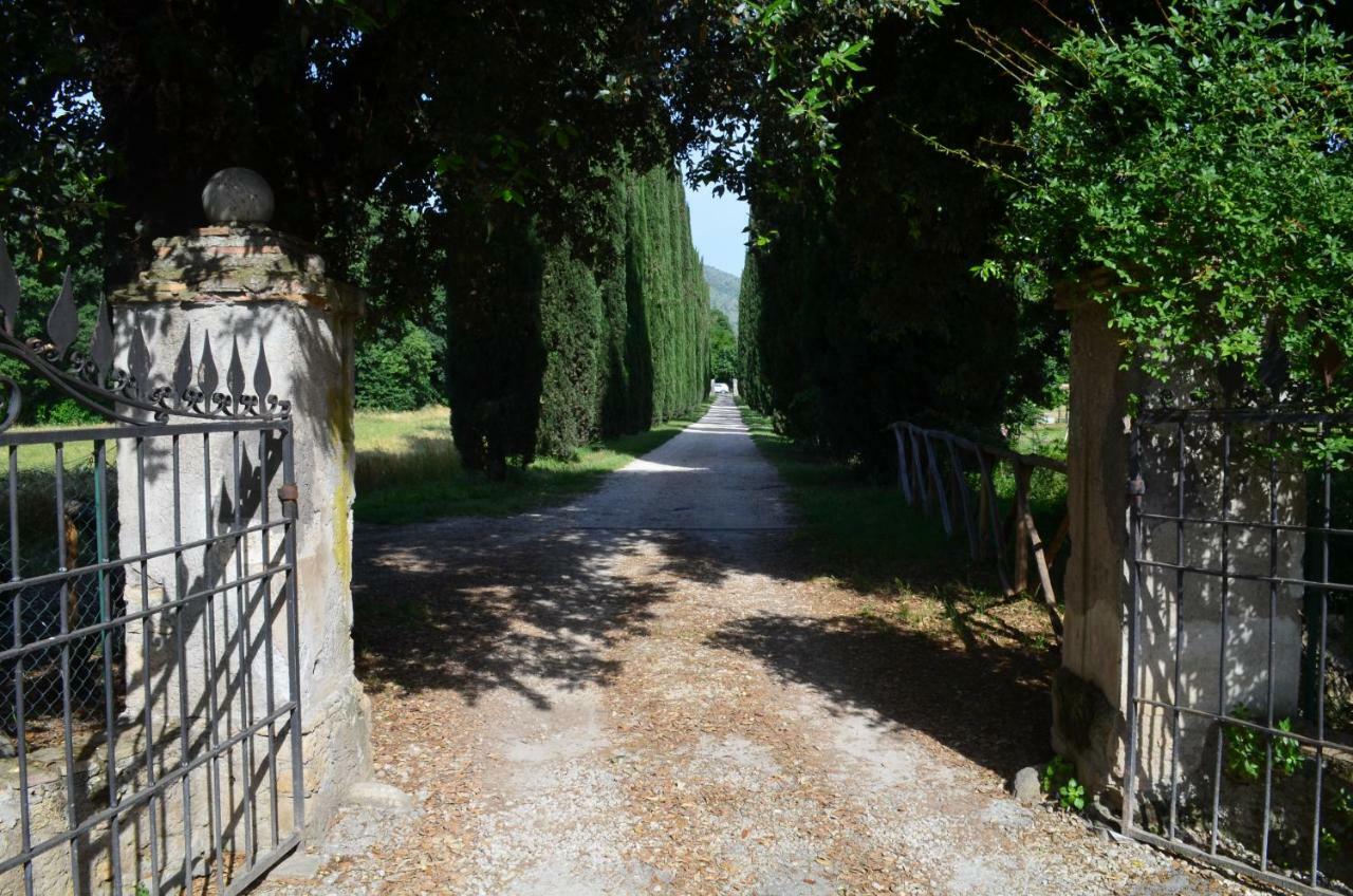 Casale Colleoni Bed & Breakfast Tivoli Exterior photo