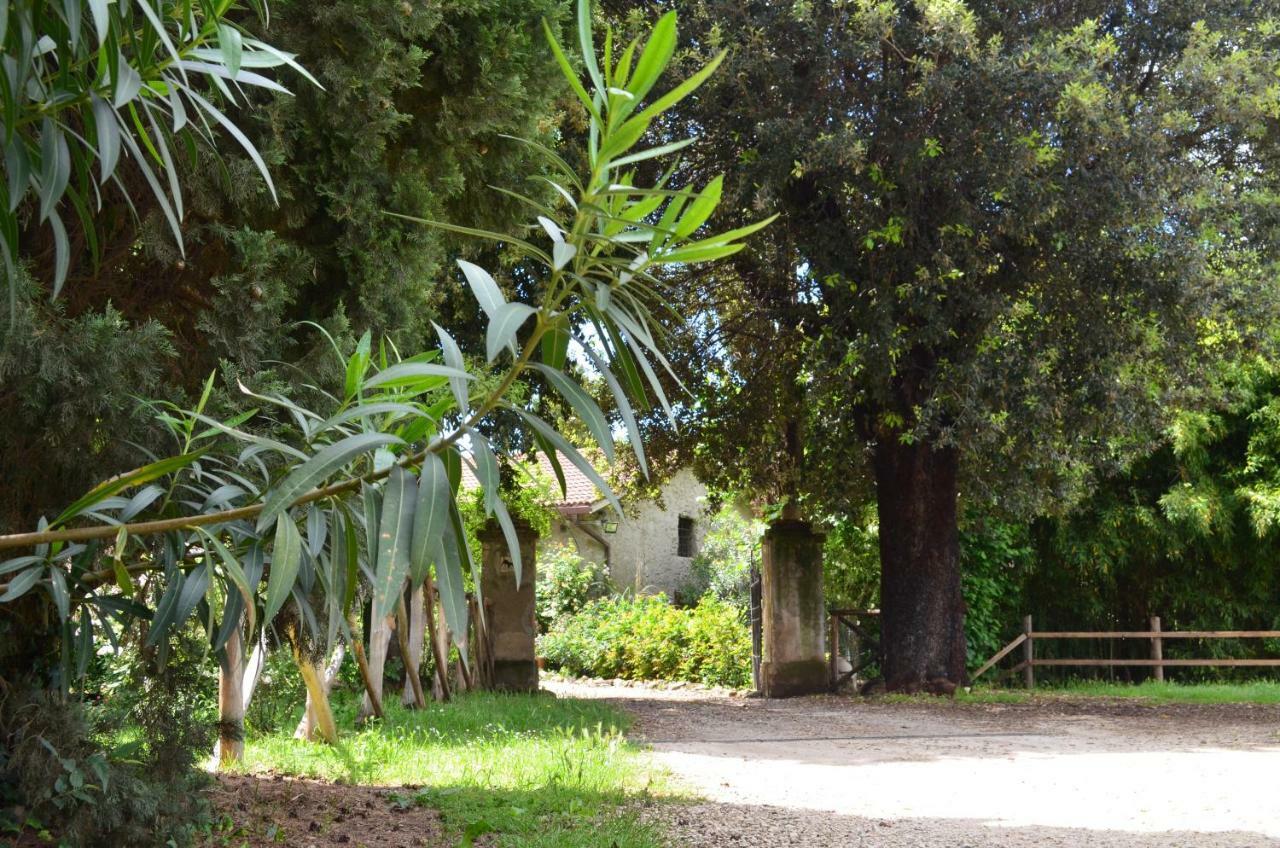 Casale Colleoni Bed & Breakfast Tivoli Exterior photo