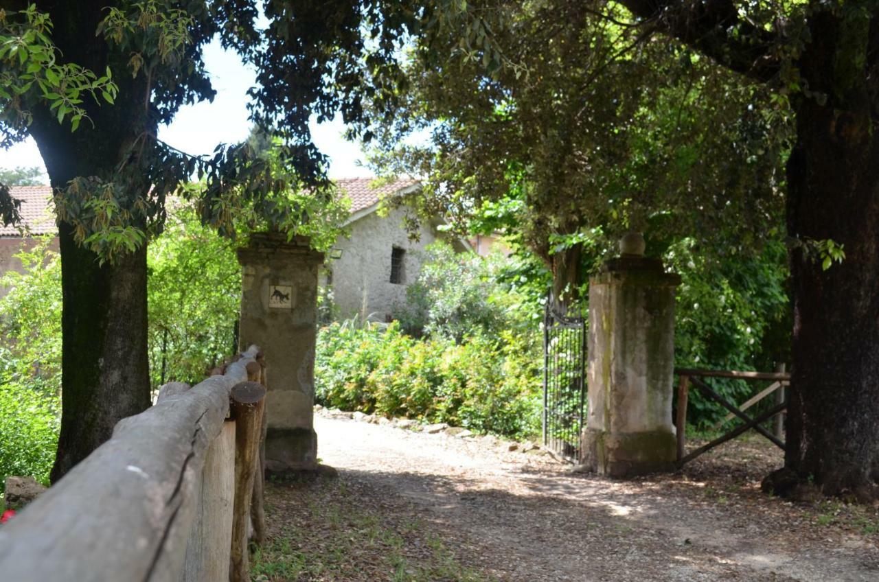 Casale Colleoni Bed & Breakfast Tivoli Exterior photo